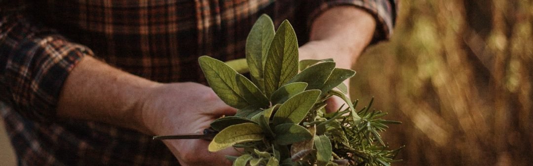 Home Kruiden Kalender Spirituele Kruiden Gezondheid Tuininfo En Tips