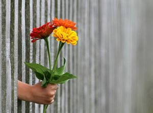 Bloemen versturen